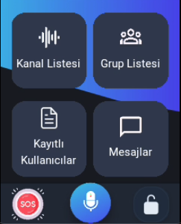 AselVoice Arayüz